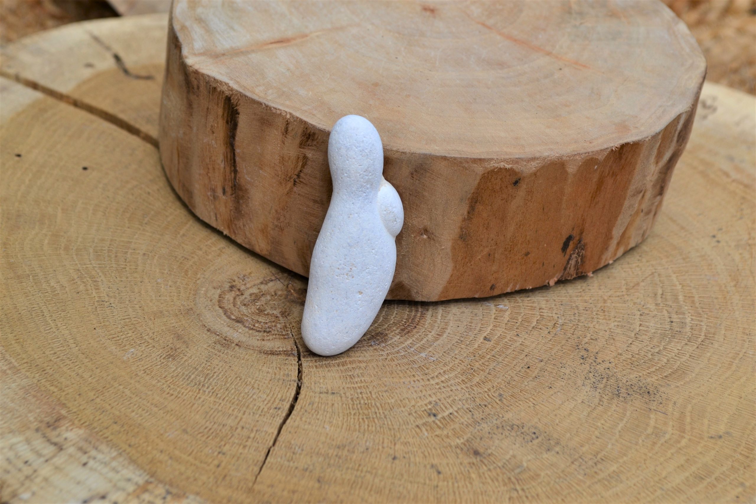 Pierre des fées du Maroc (N°10)