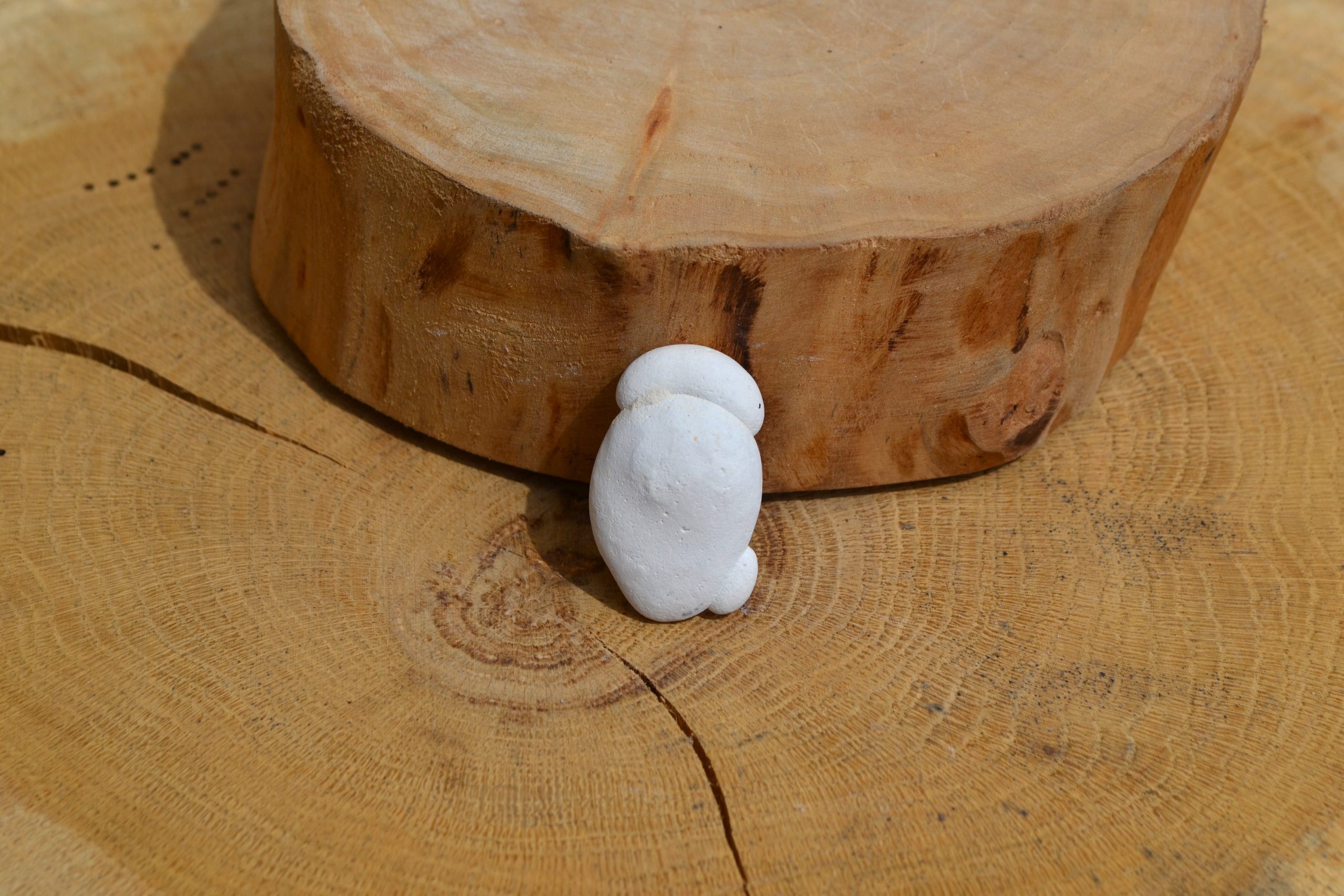 Pierre des fées du Maroc (N°2)