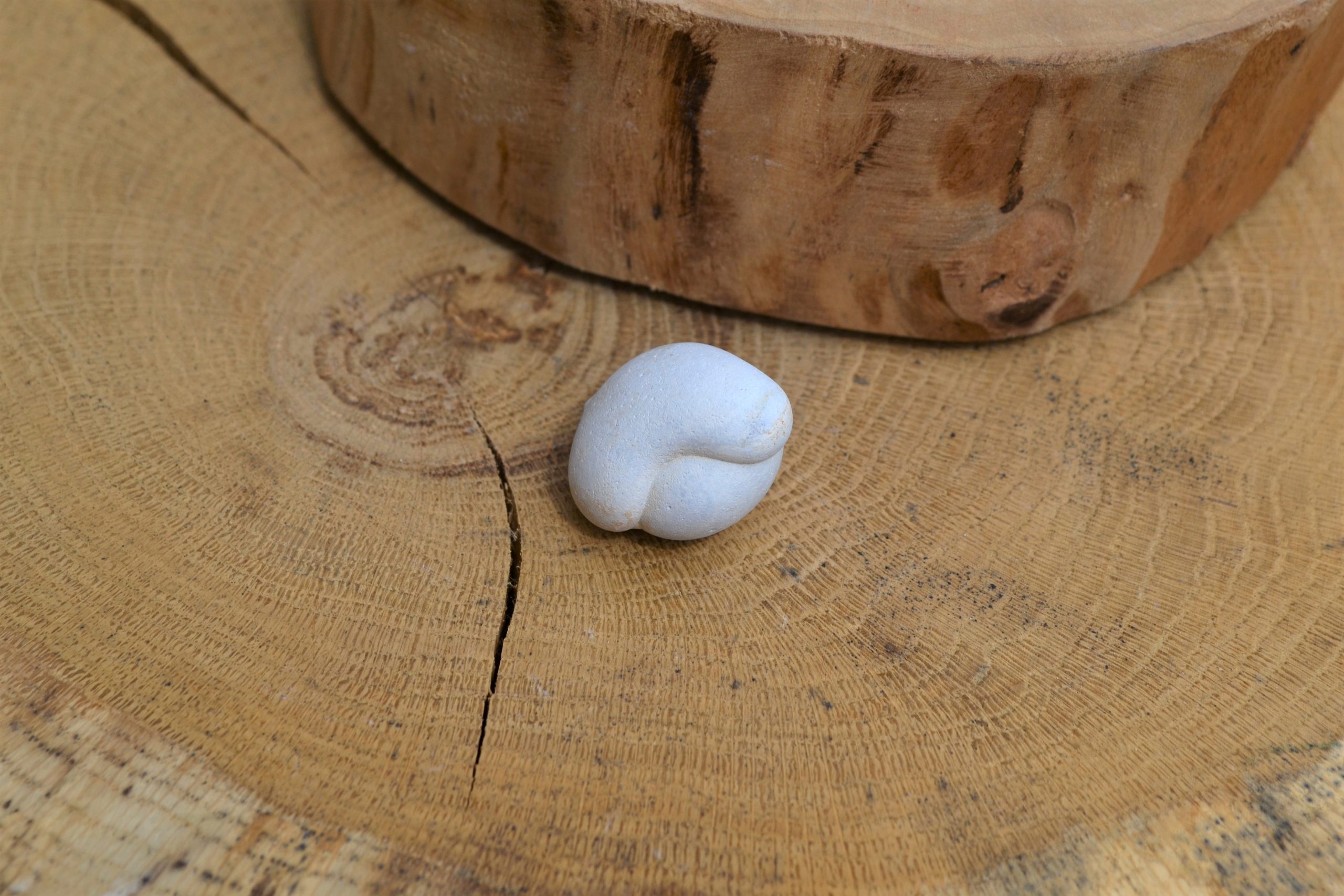 Pierre des fées du Maroc (N°8) - Imagen 2