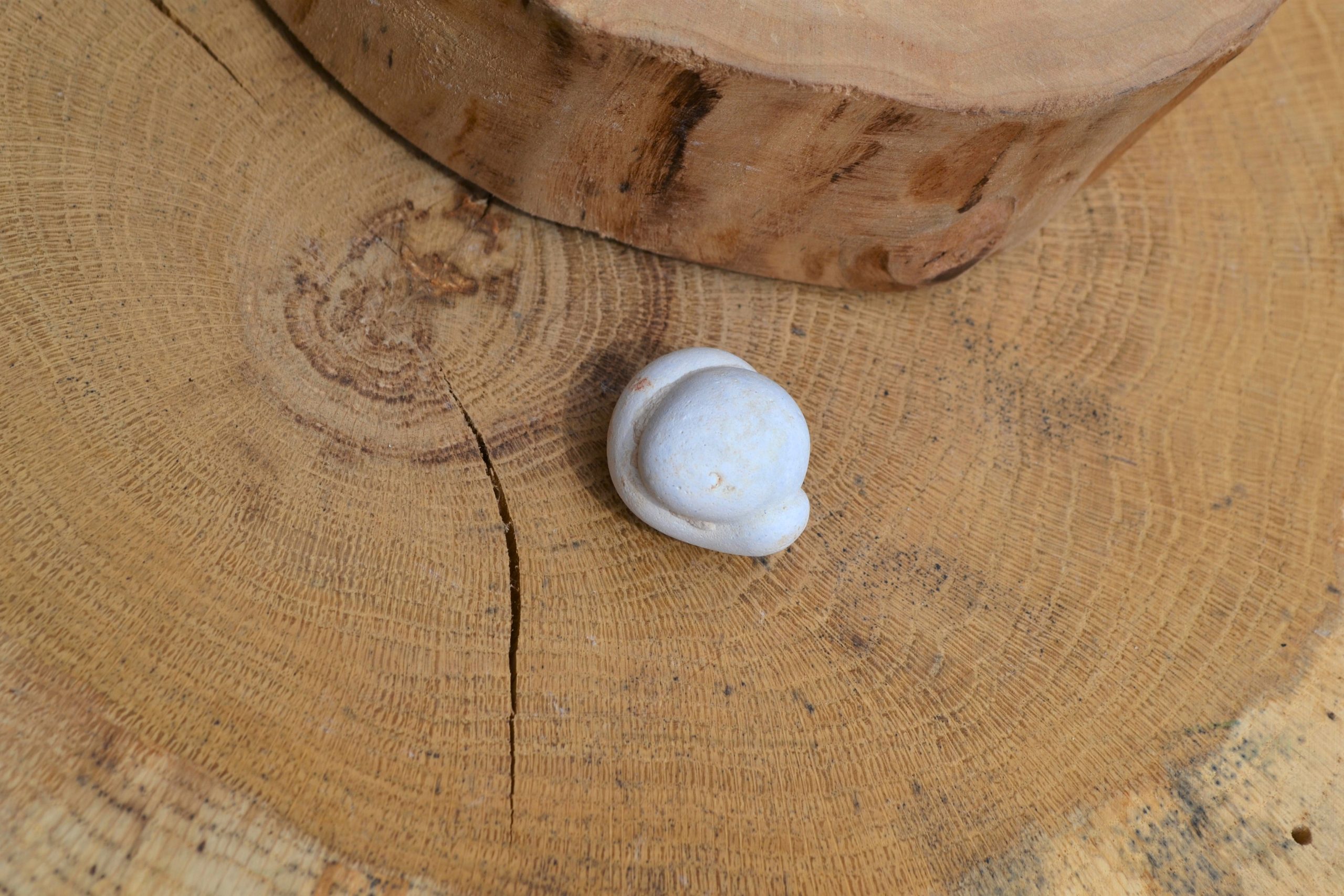 Pierre des fées du Maroc (N°8)